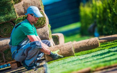 3 Services a Landscaper Provides