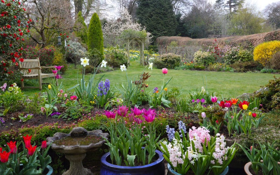 Colorful Landscaped Garden